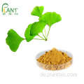 EP UPS Ginkgo biloba Blattextraktpulver